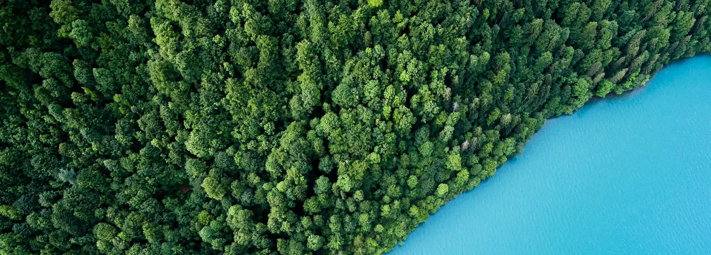 Nature Background